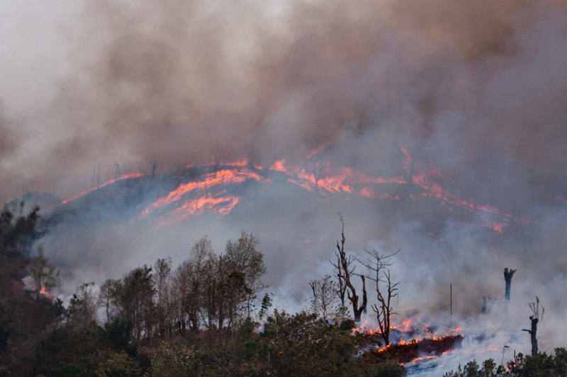 Forests being burnt for creating  agricultural fields under shifting jhum  cultivation in Mokokchung district, Nagaland. Known by different names, it is practiced in the  States of Nagaland, Arunachal Pradesh, Meghalaya, Manipur, Mizoram and Tripura  in the North-East, and also in Madhya Pradesh, Andhra Pradesh and Kerala, and is an important cause of deforestation in India.